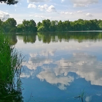 Svarov mere
