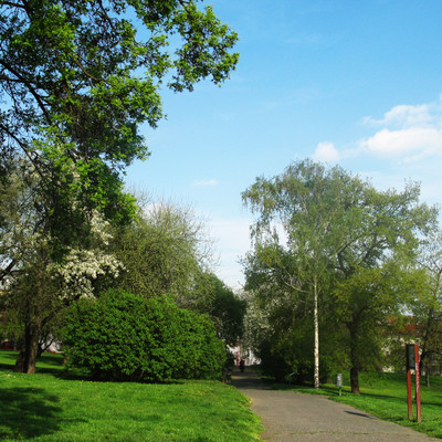 Park under the Ship