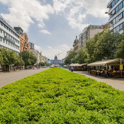 Wenceslav square