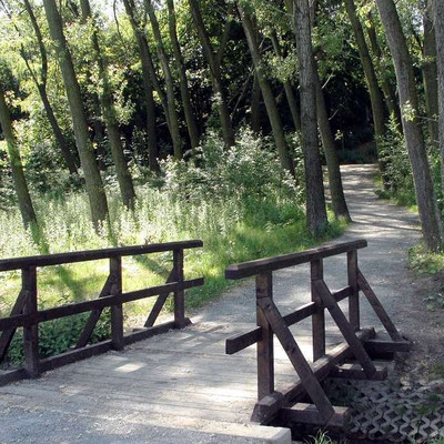 Valley of the Motol stream