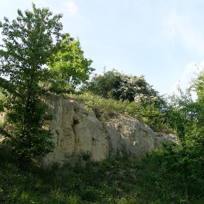 Natural monument Vidoule