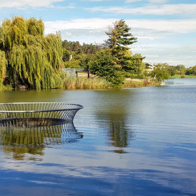 Pond Dzban