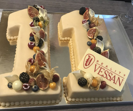 Birthday of VESSAN Reality!