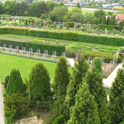 Dendrological garden
