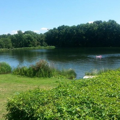 Natural swimming pool Motol